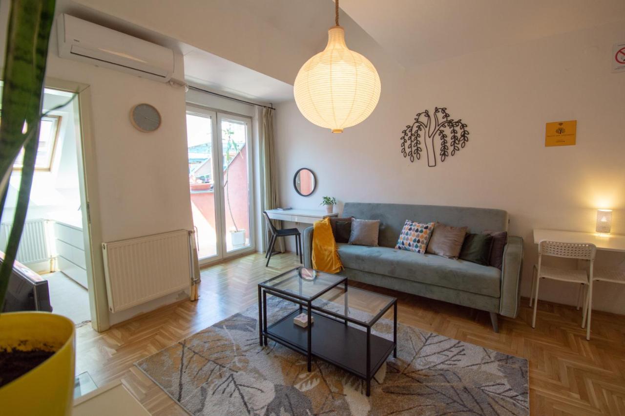 Spacious 1-Bedroom Apartment Novi Sad Eksteriør bilde