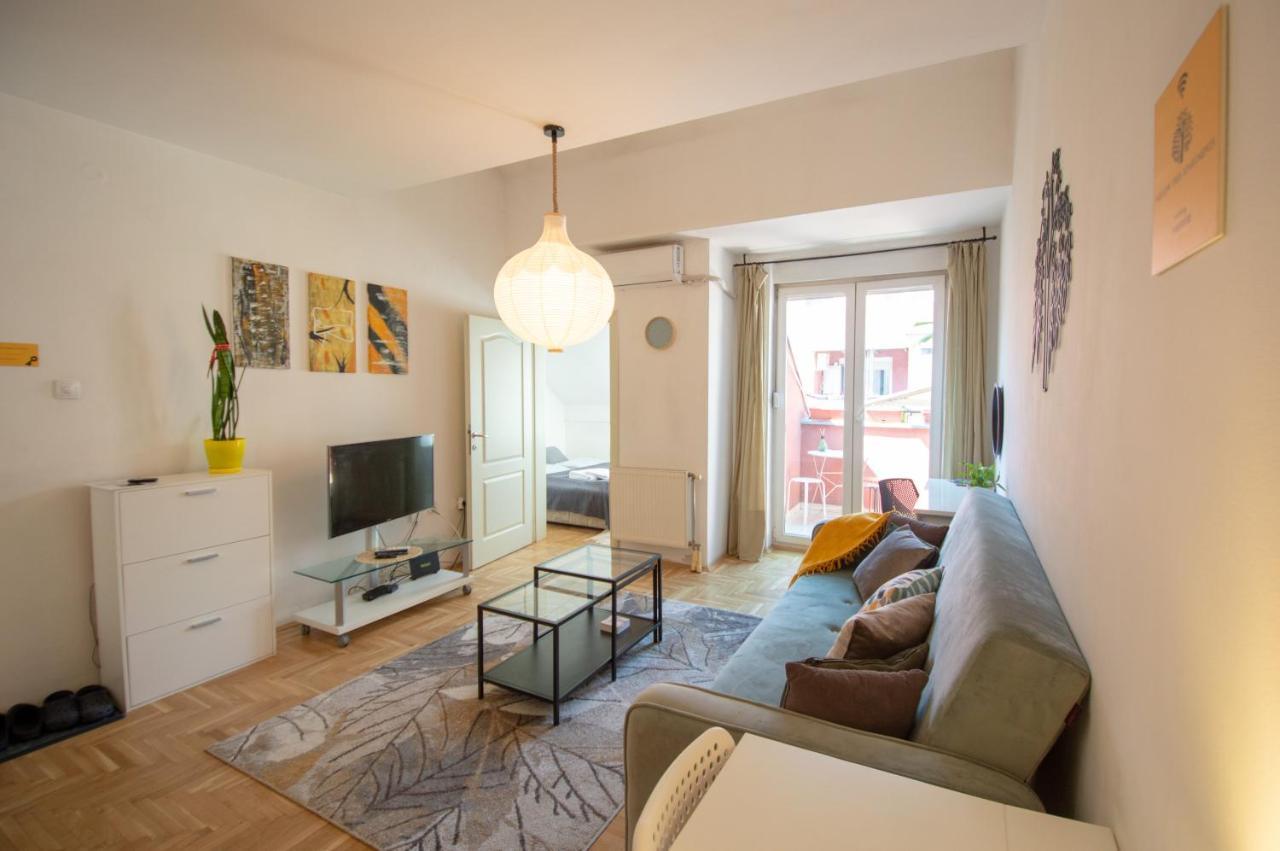 Spacious 1-Bedroom Apartment Novi Sad Eksteriør bilde
